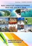 Kecamatan Nonggunong Dalam Angka 2018